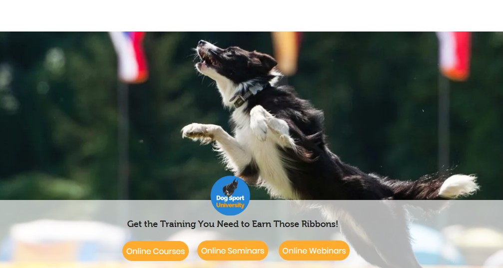 online dog training dog sport university