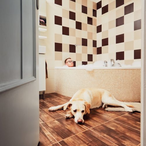 owner share bathroom with pet