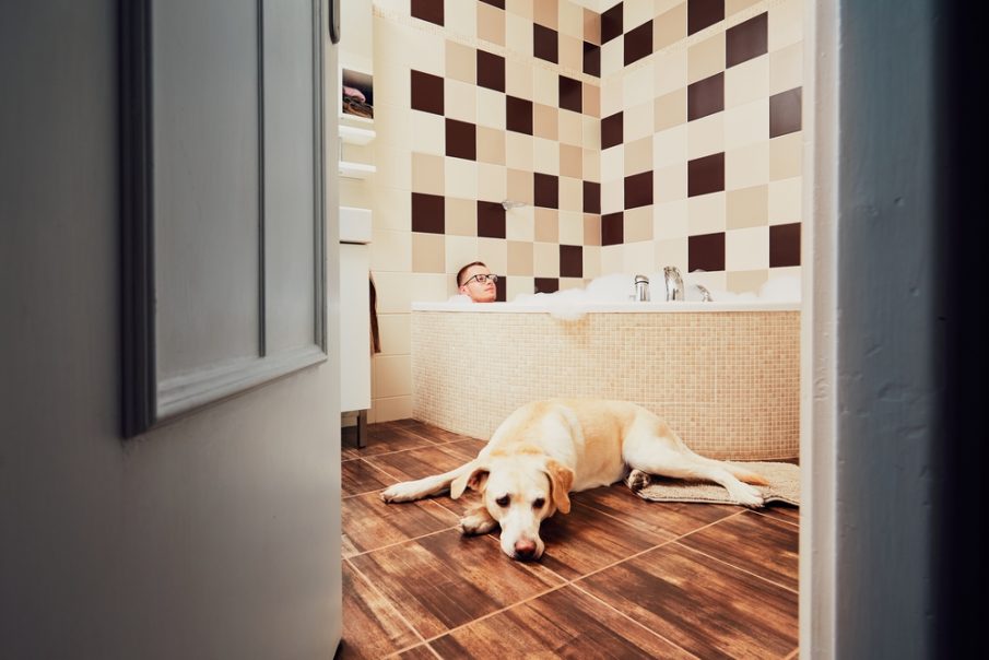owner share bathroom with pet