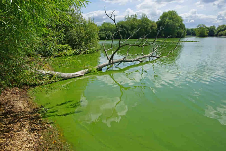 green lake water