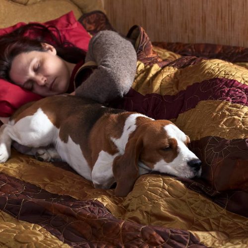 sleeping with dog