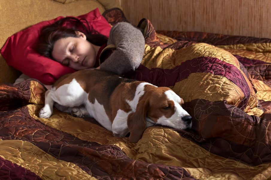 sleeping with dog