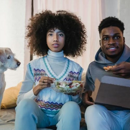 Freshly Prepared Dog Food